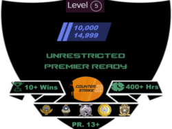 Buy CS2 accounts with 2 medals and rating of 10-15k with 3 coins