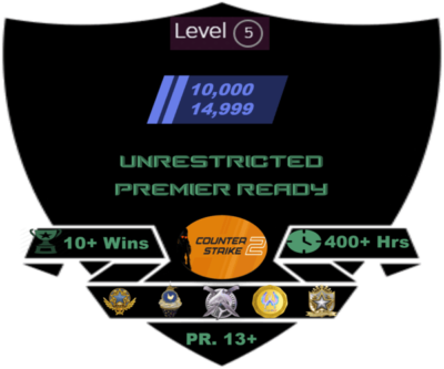 Buy CS2 accounts with 2 medals and rating of 10-15k with 3 coins