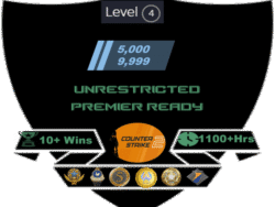 Buy CS2 account with 5-10k Rating/2 Medals & 4 Coins/Unrestricted/1100+ Hrs & more!