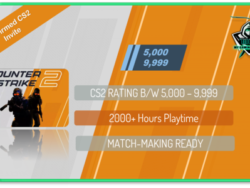 Buy CS2 with rating and 2000 hours playtime