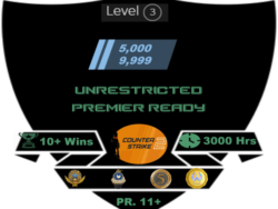 Buy CS2 account with medal and rating