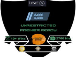 Buy CS2 account with medal and hours