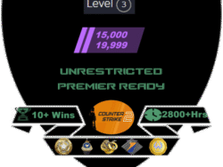 Buy CS2 account with 10-15k Rating/1 Medal & 4 Coins/Unrestricted with 2800+ Hrs & more!
