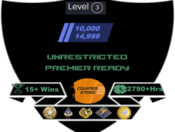 Buy CS2 account with 10-15k Rating/1 Medal & 4 Coins/Unrestricted with 2700+ Hrs & more!